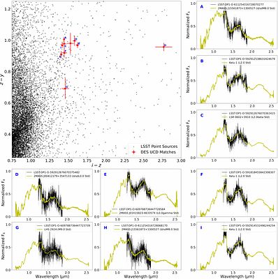 Searching for Ultracool Dwarfs in Early LSST Data Products