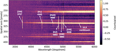 Deep optical spectroscopic monitoring of the pulsating ULX NGC 1313 X-2 with longslit Gemini observations