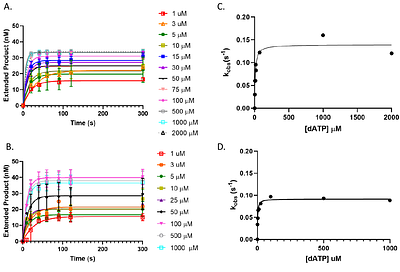 Melanoma-derived DNA polymerase theta variants exhibit altered DNA polymerase activity