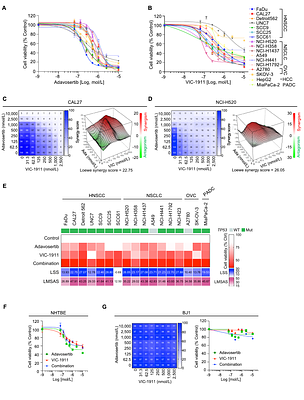 AURKA inhibition amplifies DNA replication stress to foster WEE1 kinase dependency and synergistic antitumor effects with WEE1 inhibition in cancers