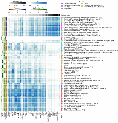 Beyond Exons: Linking Noncoding Heritability and Polygenicity across Complex Human Traits and Disorders