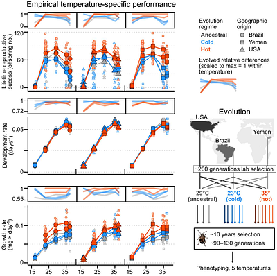Pest evolution amplifies projected crop losses under climate change