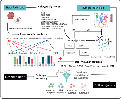 multideconv - Integrative pipeline for cell type deconvolution from bulk RNAseq using first and second generation methods