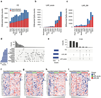 A Comprehensive DNA Methylome BodyMap across 12 Organs/Tissues from Spaceflight Mice