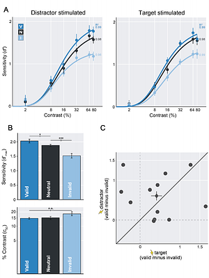 Transcranial magnetic stimulation to frontal cortex, unlike occipital stimulation, does not disrupt exogenous attention