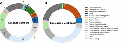 Venomous Maggots? A first exploration of the toxin arsenal of larval stages of the horse fly Tabanus autumnalis