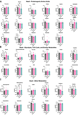 Adropin protects against cardiac metabolic remodeling and dysfunction in HFpEF