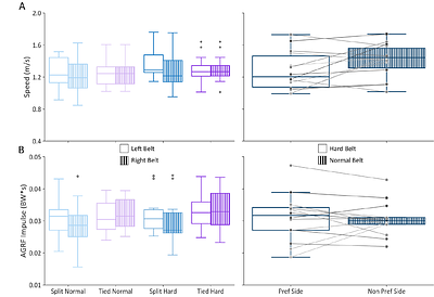 Walking speed can be modulated on an adaptive split-belt treadmill