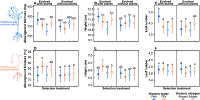 Mutualisms as engines for rapid adaptation: Rhizobium evolution facilitates plant drought resistance