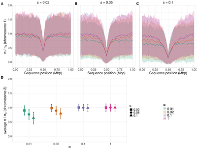 Beyond Recombination: Exploring the Impact of Meiotic Frequency on Genome-wide Genetic Diversity
