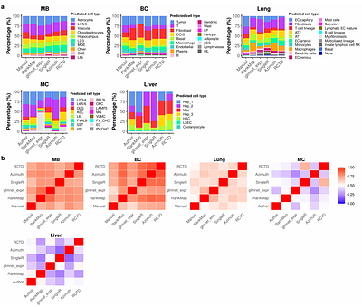 RankMap: Rank-based reference mapping for fast and robust cell type annotation in spatial and single-cell transcriptomics