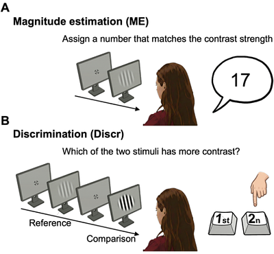 Magnitude estimation reveals Poisson-like noise underlying perception