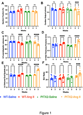 Nox4 Mediates Diastolic Function in a Genetic Model of Pitx2 Haploinsufficiency