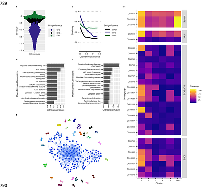 The pangenome of Aspergillus fumigatus highlights the dynamics of gene gain-loss over evolutionary timescales in a human fungal pathogen