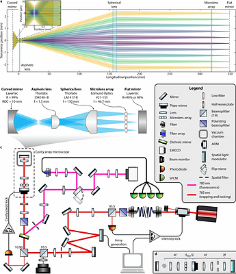 A cavity array microscope for parallel single-atom interfacing