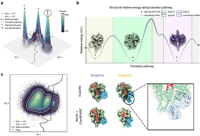 Learning latent conformational landscapes encoded in cryo-EM