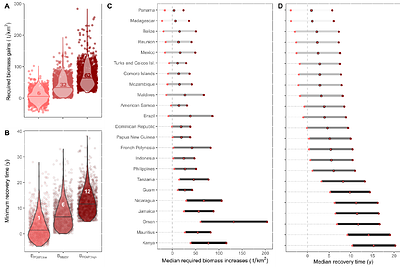 Potential yield and food provisioning gains from rebuilding the worlds coral reef fish stocks
