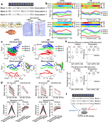 Locomotion-invariant prefrontal-thalamic goal states organize spatially aligned episode-specific hippocampal maps