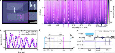 Einstein-Podolsky-Rosen correlations between mechanical oscillators revealed through SU(1,1) interferometry