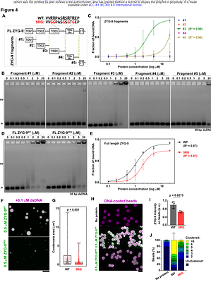 Spindle pole proteins confine chromosomes to ensure their expulsion during female meiosis