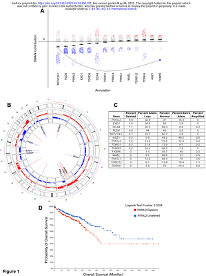 PIWIL2 downregulation in colon cancer promotes transposon activity and pro-tumorigenic phenotypes