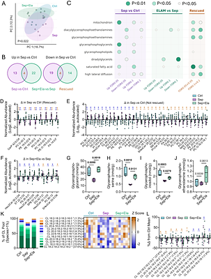 Mitochondrial-targeted therapy with elamipretide preserves cardiac function and prevents late mortality in murine sepsis-induced cardiac dysfunction.