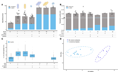 Pushing the limits of SCP: bacSCP, a proof-of-concept study to investigate heterogeneity of bacteria by single cell proteomics.
