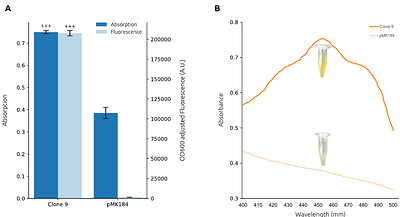 Engineering Artificial 5' Regulatory Sequences for Thermostable Protein Expression in the Extremophile Thermus thermophilus
