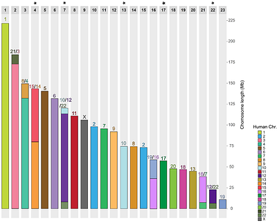 Comparative Genomics Reveals the Ancestral Recombination Landscape of Placental Mammals
