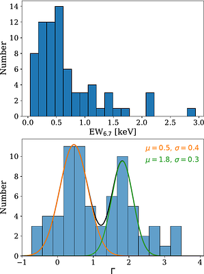 A sample of ionised Fe line-emitting X-ray sources in the inner Galactic
  disc