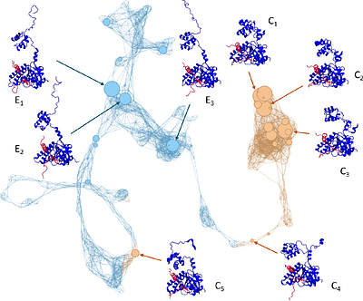Integrating computational and experimental biophysics reveals novel insights into the RAD51-BRC4 interaction