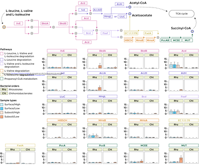 Continental-scale integration of soil metagenomes and metabolomes reveals ubiquitous microbial capacity for recalcitrant carbon decomposition.