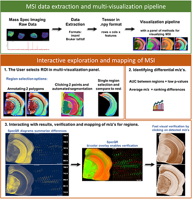 MSI-VISUAL: New visualization methods for mass spectrometry imaging and tools for interactive mapping and exploration of m/z values