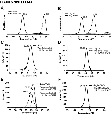 Biophysical characterization of Eag chaperones suggests the mechanism of effector transmembrane domain release