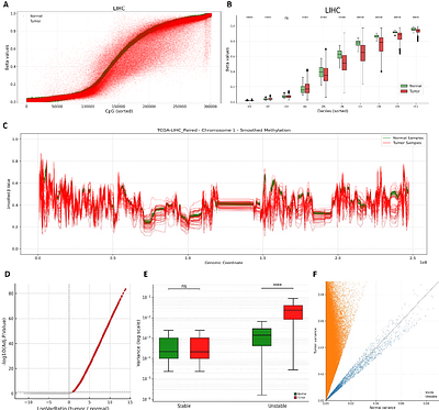 DNA methylation variability defines a fundamental dimension of tumor epigenomes linked to genomic instability, tumor aggressiveness, and clinical outcomes