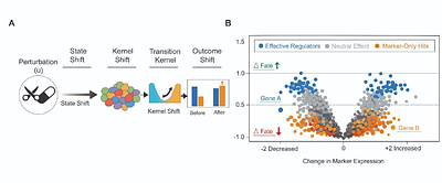 A Unified Dynamical-Systems and Control-Theoretic Model for Single-Cell Fate Dynamics