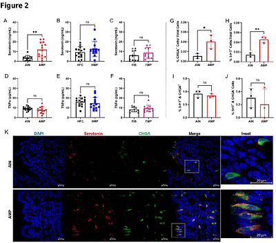 Dietary Microplastics Engage Gut Mechanosensory-Endocrine Signaling to Disrupt Bone Homeostasis