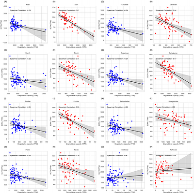 Exploring the interplay of complex carbohydrate intake, the microbiome CAZymes pool and short-chain fatty acid production in the human gut: insights from different cohorts in the Argentine population