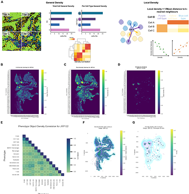 SpatioEv: Spatial evolution of protein and morphological features reveals development dynamics of cells and spatial neighbourhoods