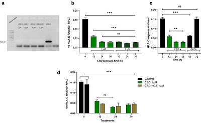 Cannabidiol (CBD) as a novel inhibitor of HLA-G expression in human choriocarcinoma cell line (JEG-3)