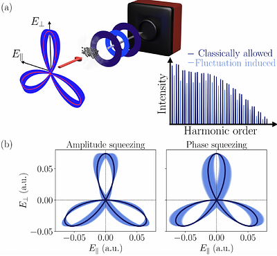 Fluctuation-induced symmetry breaking in high harmonic generation for bicircular quantum light