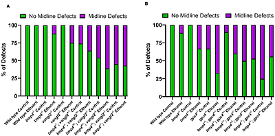 Interactions between the Bone Morphogenetic Protein and the Planar Cell Polarity Pathways lead to distinctive ethanol-induced facial defects
