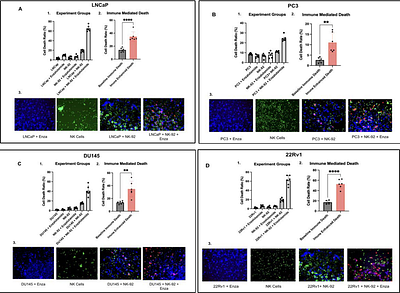 Androgen receptor signaling blockade enhances NK cell-mediated killing of prostate cancer cells and sensitivity to NK cell checkpoint blockade