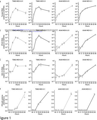 The RLR-MAVS-IRF3 axis activates the IFN pathway to restrict Tonate virus (TONV) infection