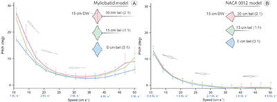 The tail of myliobatid rays controls body stability