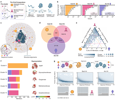 Conserved folds enable immune antagonism across the tree of life