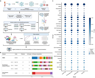 Single-cell foundation models predict durable CAR T response despite imperfect cell annotation