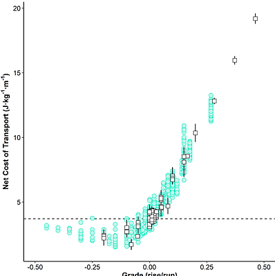 Metabolic energy expenditure during level, uphill, and downhill running