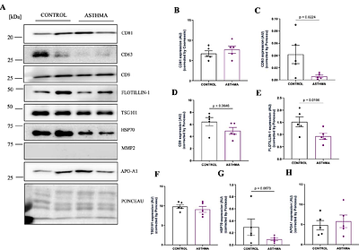 Human breast milk extracellular vesicles from mothers with asthma differentially modulate the release of inflammatory cytokines by primary human airway smooth muscle cells in a recipient-cell specific manner