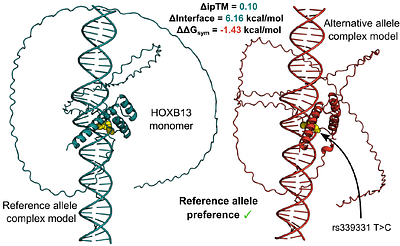 A structure-guided approach to non-coding variant evaluation for transcription factor binding using AlphaFold 3